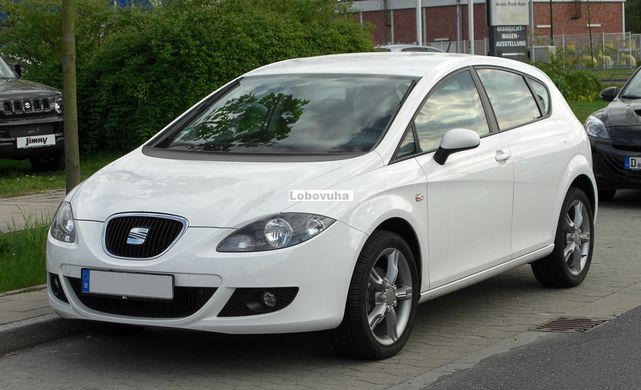 Заднее стекло для Seat Leon (05-12)