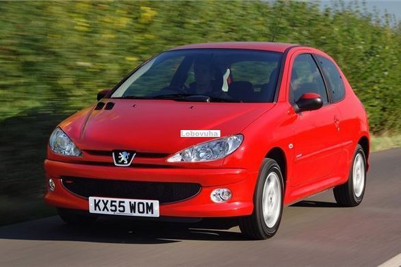 Заднє скло для Peugeot 206 (98-10)